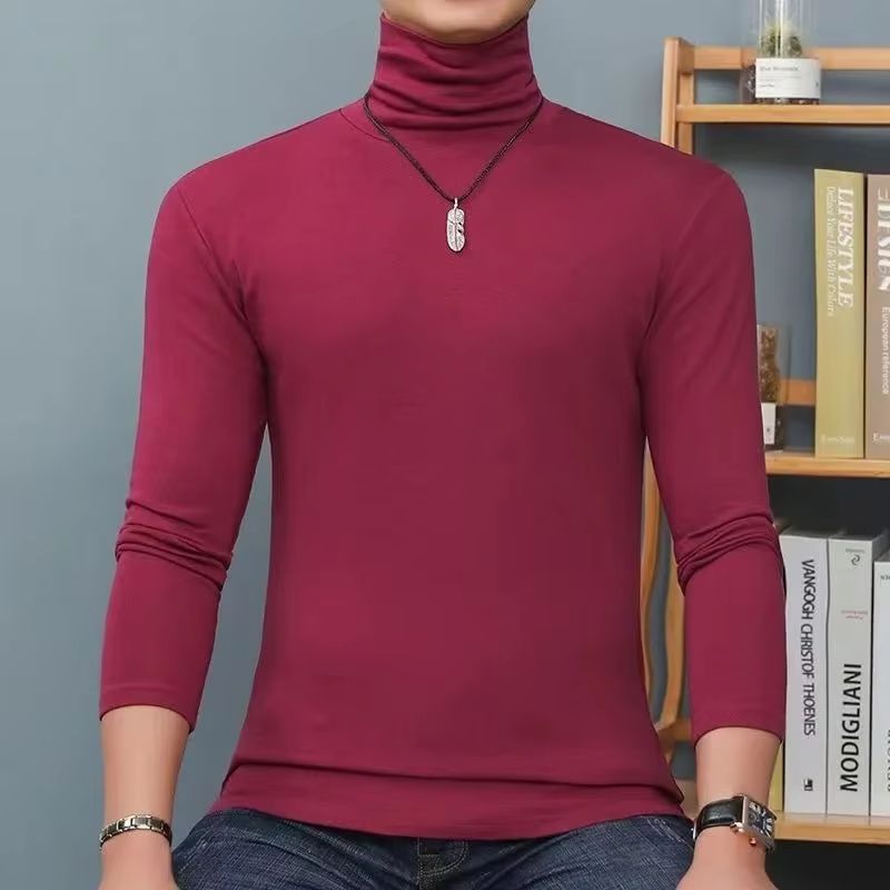 Winter Mens Turtleneck Sweater - đánh giá và giá Turtleneck Sweater Men